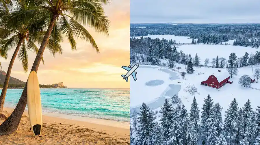 hawaii to minnesota